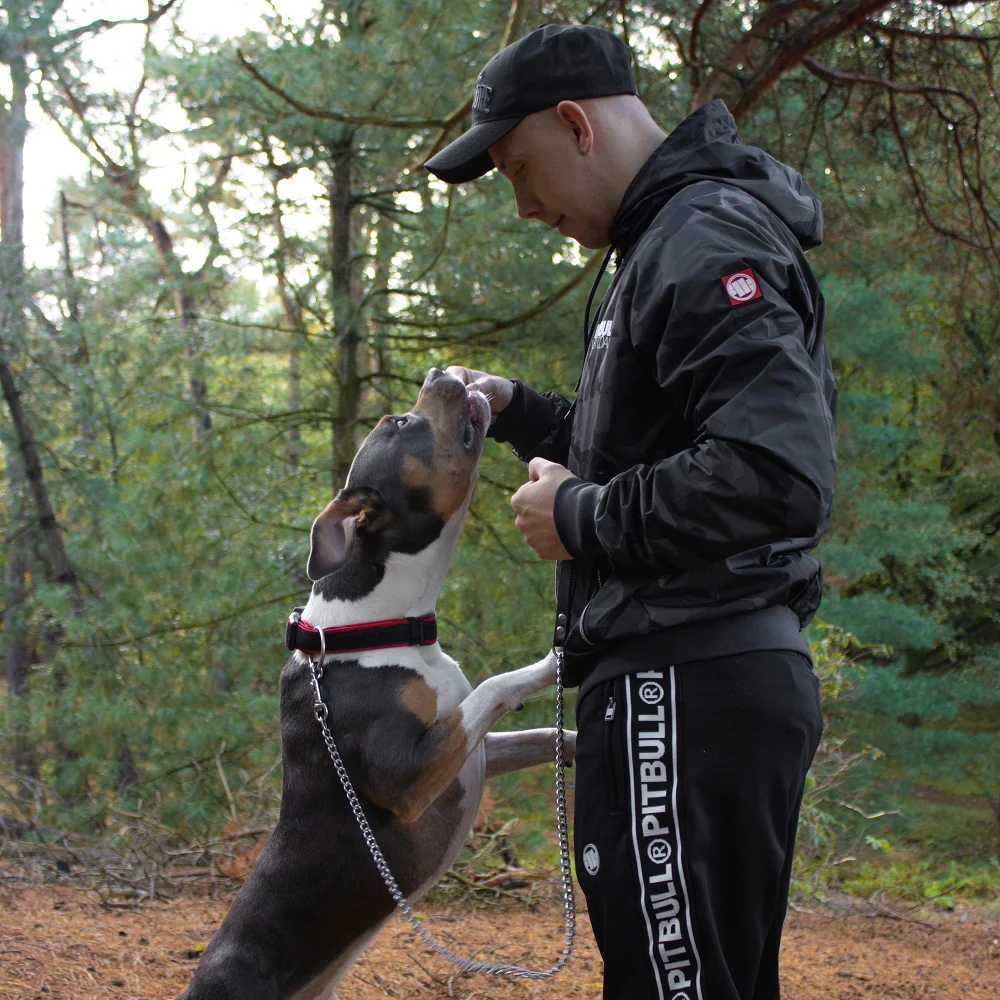 Pitbull prodaja